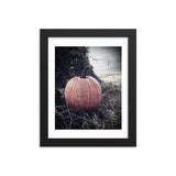 "Pumpkin" Framed Print
